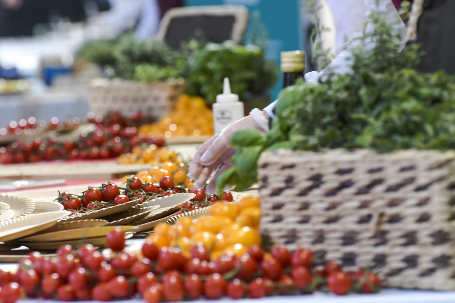 Tutti I Numeri Del Settore Agricolo Italiano E Perch Importante