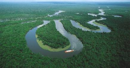 La foresta amazzonica è in pericolo. L’allarme della Nasa