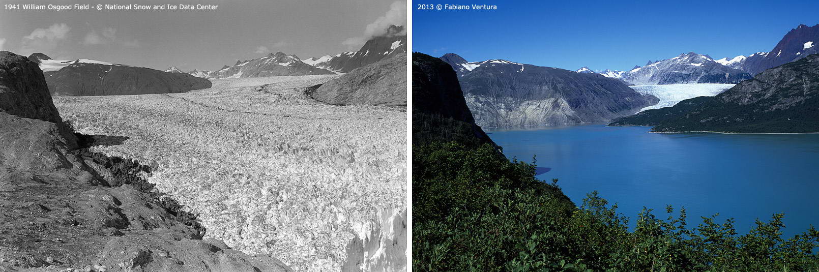 Repeat photography Muir Glacier 1941 Field-2013 Ventura