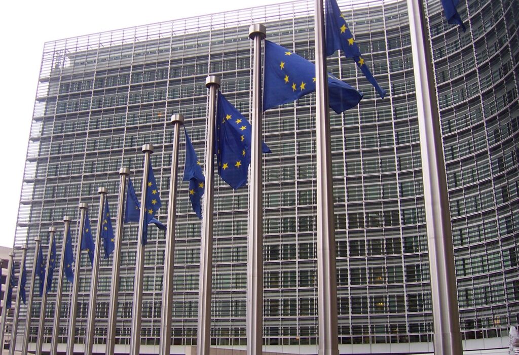 Fame Commissione europea Ue