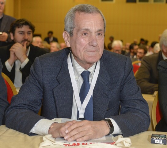Carlo Vizzini