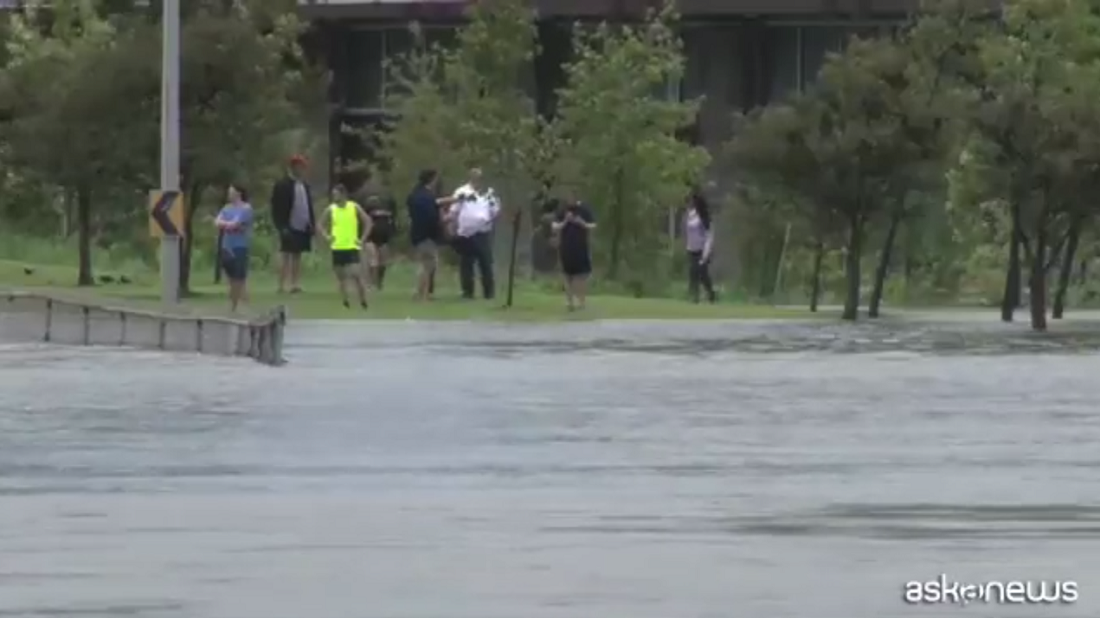 texas uragano, Harvey