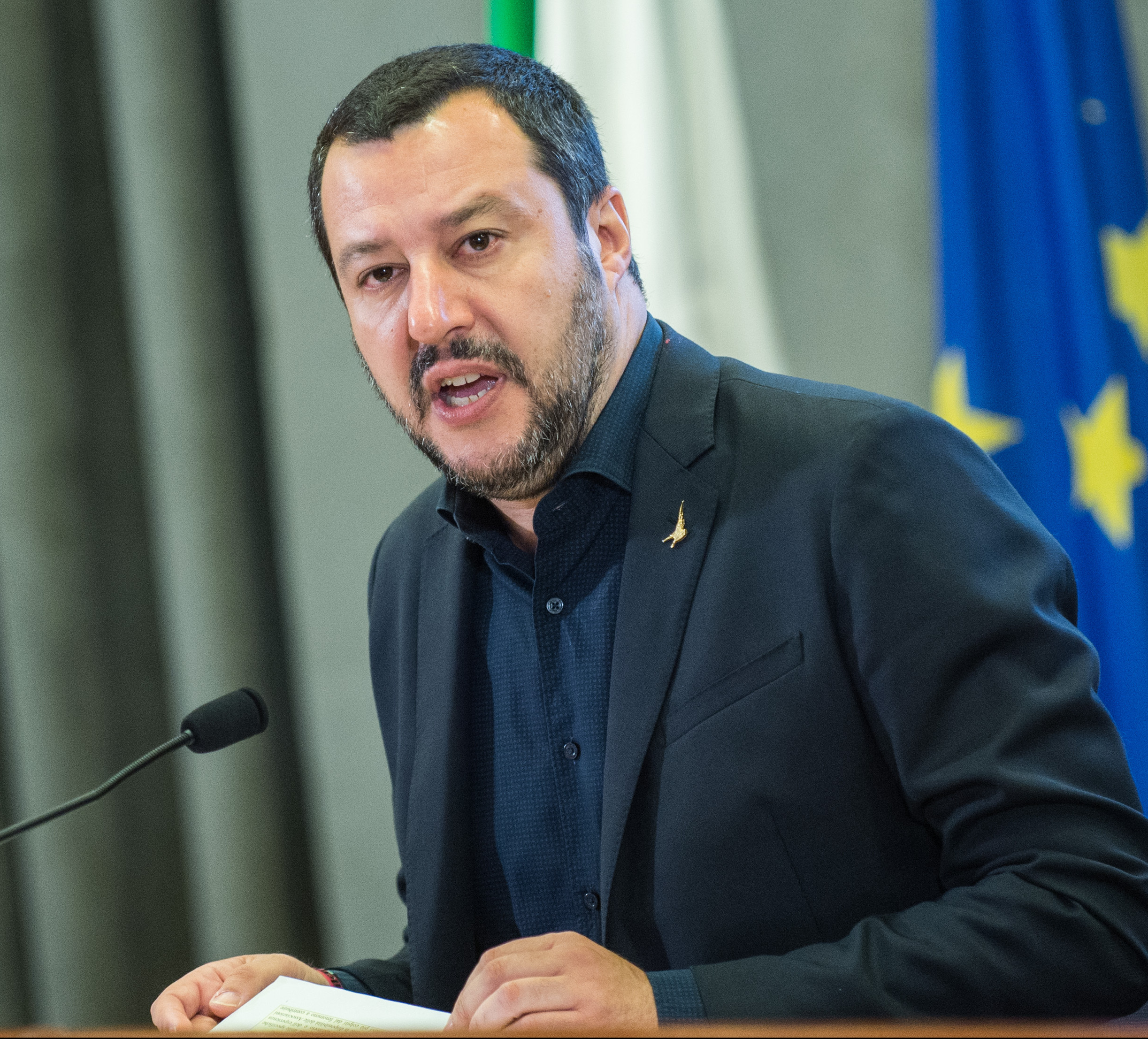 salvini