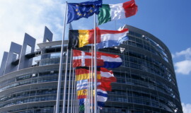 corrao, Terzi, appello