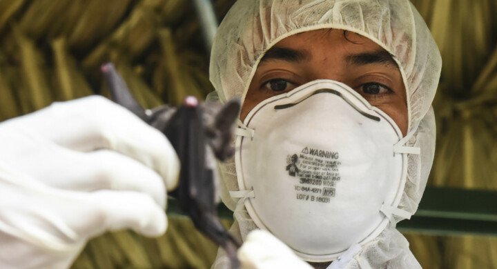 Come rispondere alla prima crisi di sicurezza globale. L’analisi di Darnis