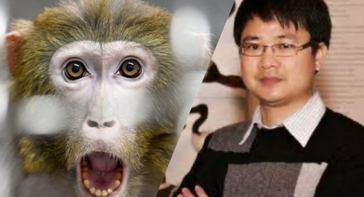 Faceva test sulle scimmie (per conto di Pechino). Prof cinese sotto accusa in Danimarca