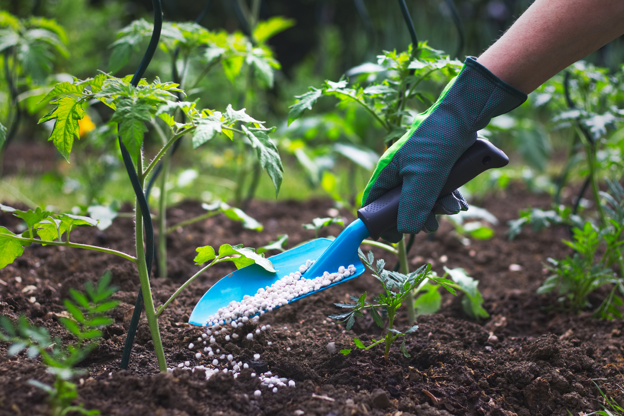 Così la crisi energetica manderà ko l’agroalimentare