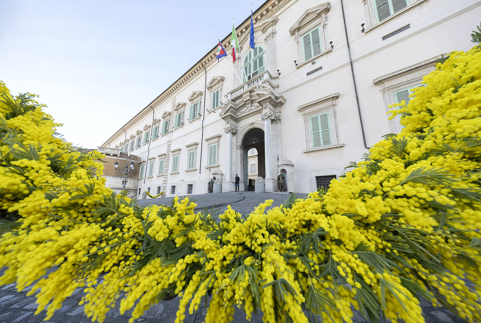 phisikk du role perché è ora di dedicare una giornata alle donne non madri da Formiche.net phisikk du role perché è ora di dedicare una giornata alle donne non madri