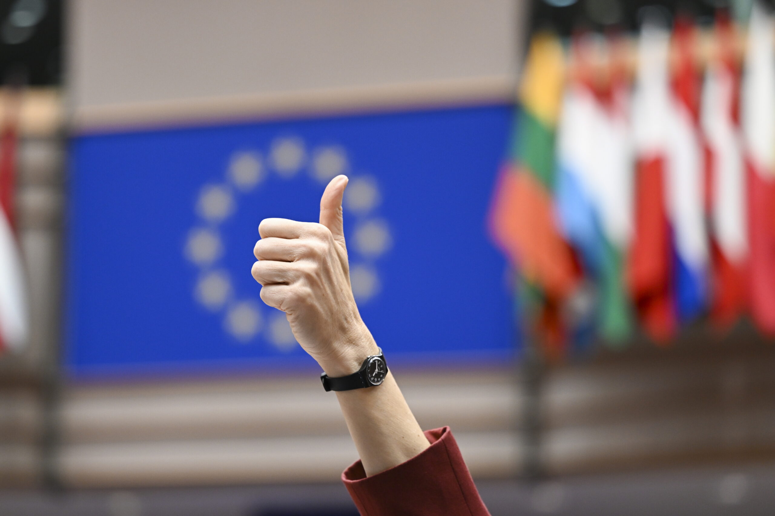 il futuro demografico dell ue come evitare il declino secondo l ecfr