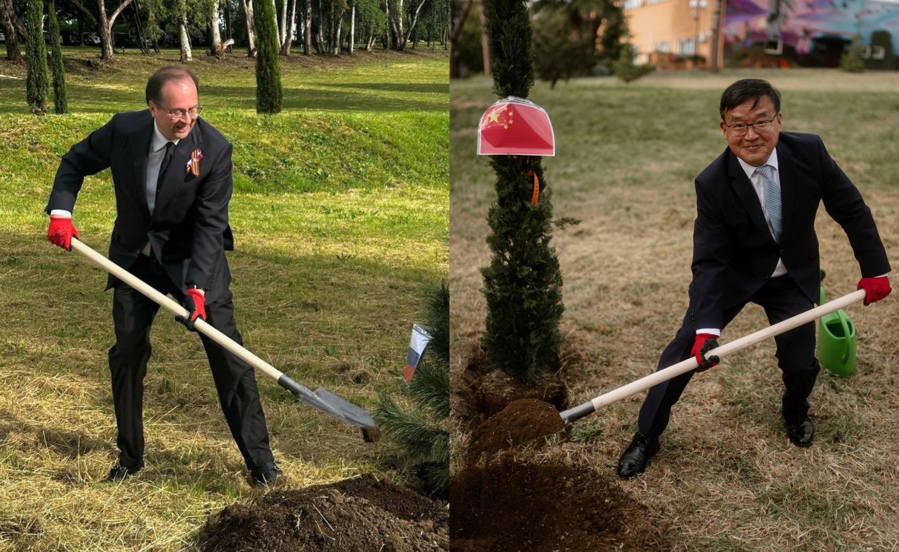 Alleanze tra da Formiche.net alleanze tra gli alberi a roma l asse russiacina nella retorica della vittoria e contro kyiv