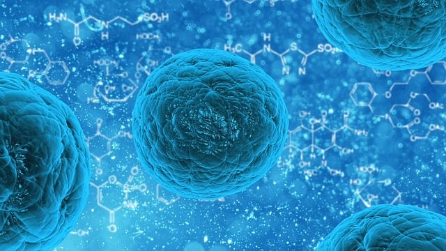diagnosi e percorsi terapeutici efficaci una roadmap per l8217hdv