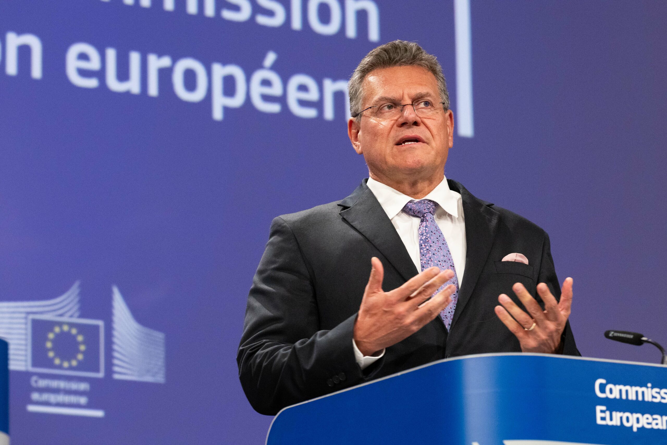La diplomazia dell’Europa in campo. Il canale cinese per salvare le terre rare La diplomazia dell’Europa in campo. Il canale cinese per salvare le terre rare