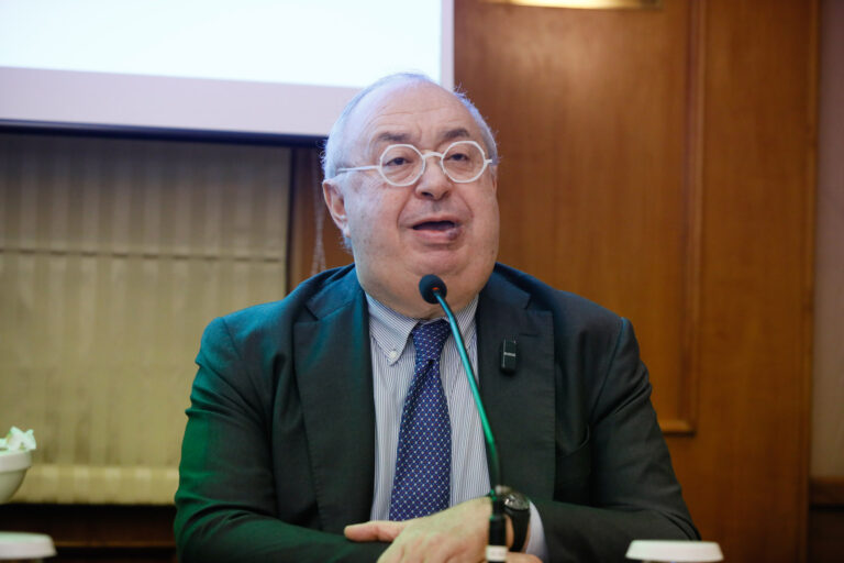 La governabilità è già garantita. I dubbi di Benedetto sul Melonellum